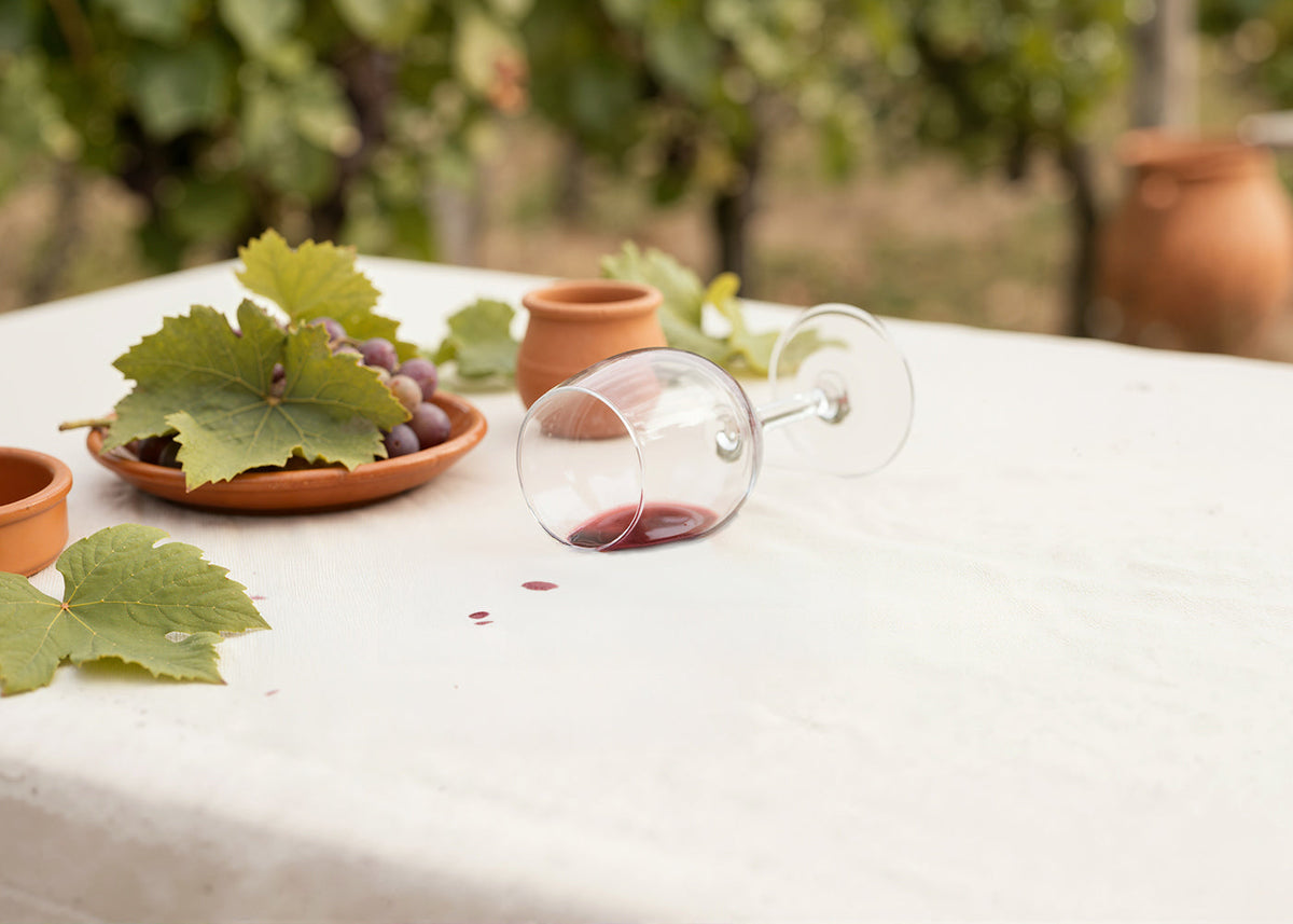 How to Remove Red Wine Stains from Fabrics, Fast